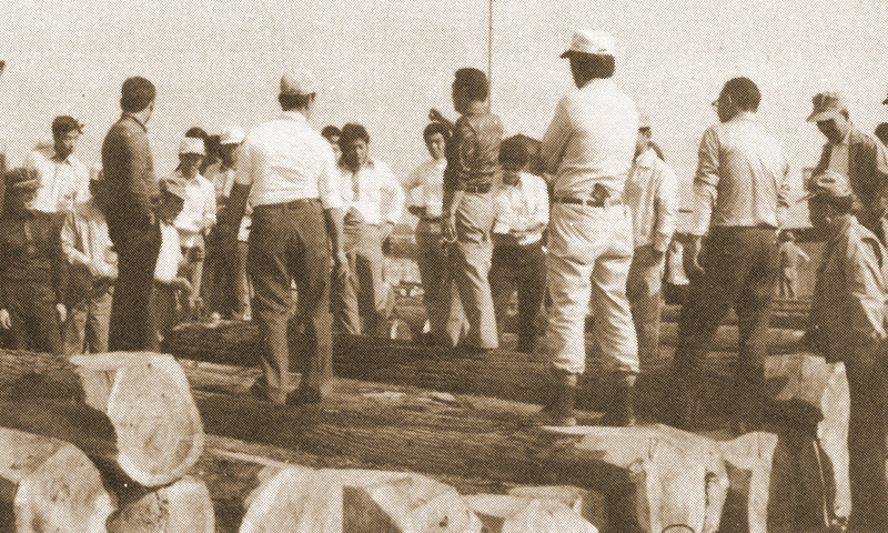 4月 井村義一が大和高田にて材木商創業 10月 井村木材店として材木小売業開始 4月 井村義将が二代目として家業継承製材機械を購入し、製材業を開始