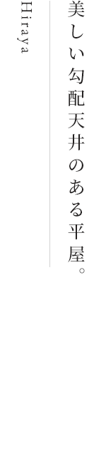 Hiraya 美しい勾配天井のある平屋。
