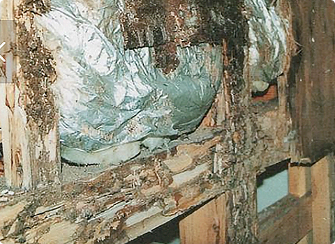 内部結露による劣化で家の寿命が縮まります