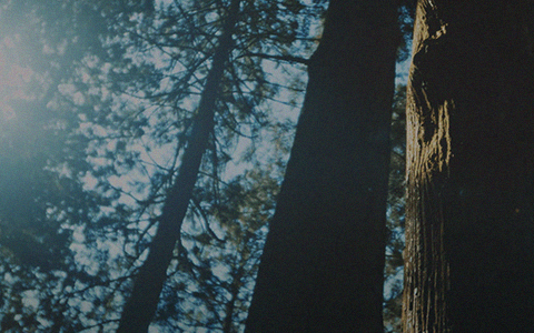 吉野杉・地産地消へのこだわり