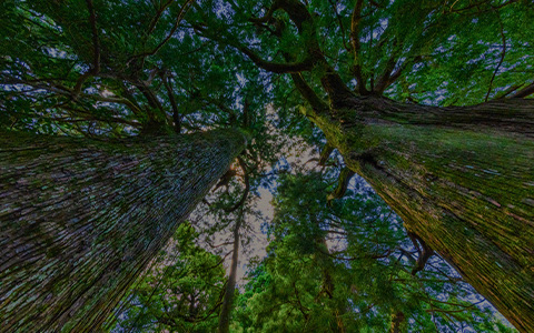 SDGsへの取り組み