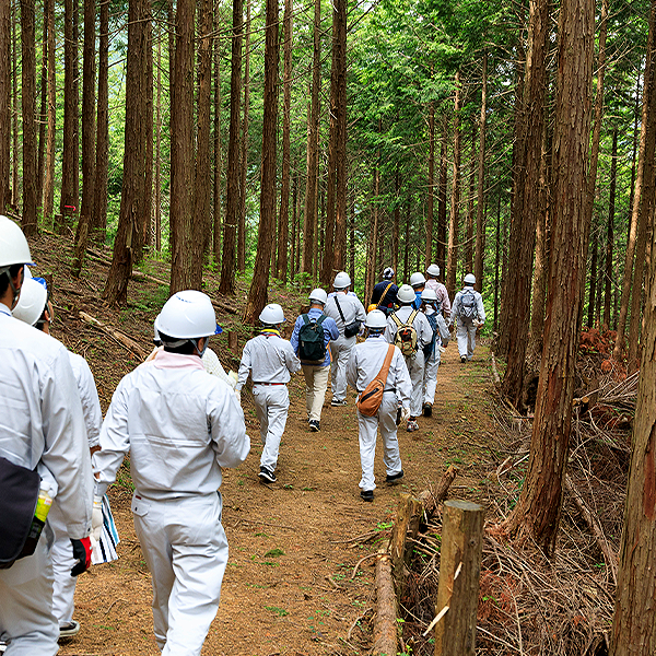 スキルアップ研修の他、林業体験も実施