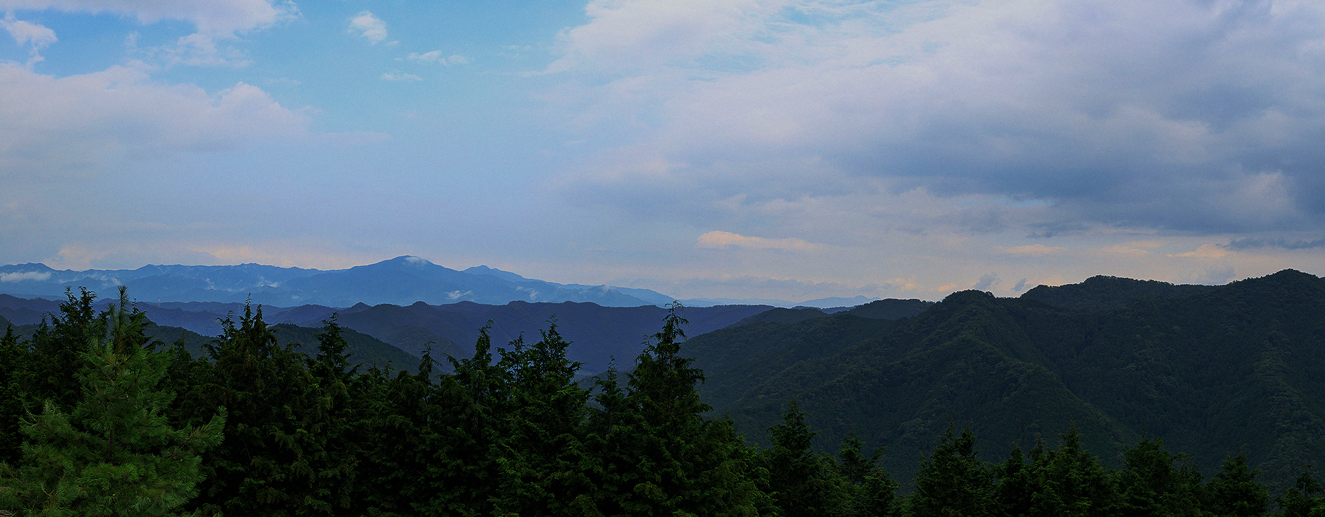 木の家イムラ SDGs 地産地消の家づくりで社会の持続的発展に貢献しています。