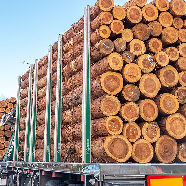 地産地消の木材利用を促進する流通改革