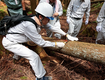 自然環境の大切さと山仕事を学ぶ社員教育の場として