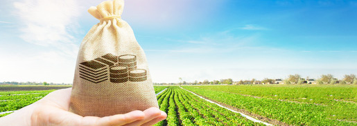 土地の固定資産税の正しい計算方法｜住宅用地の特例とは？