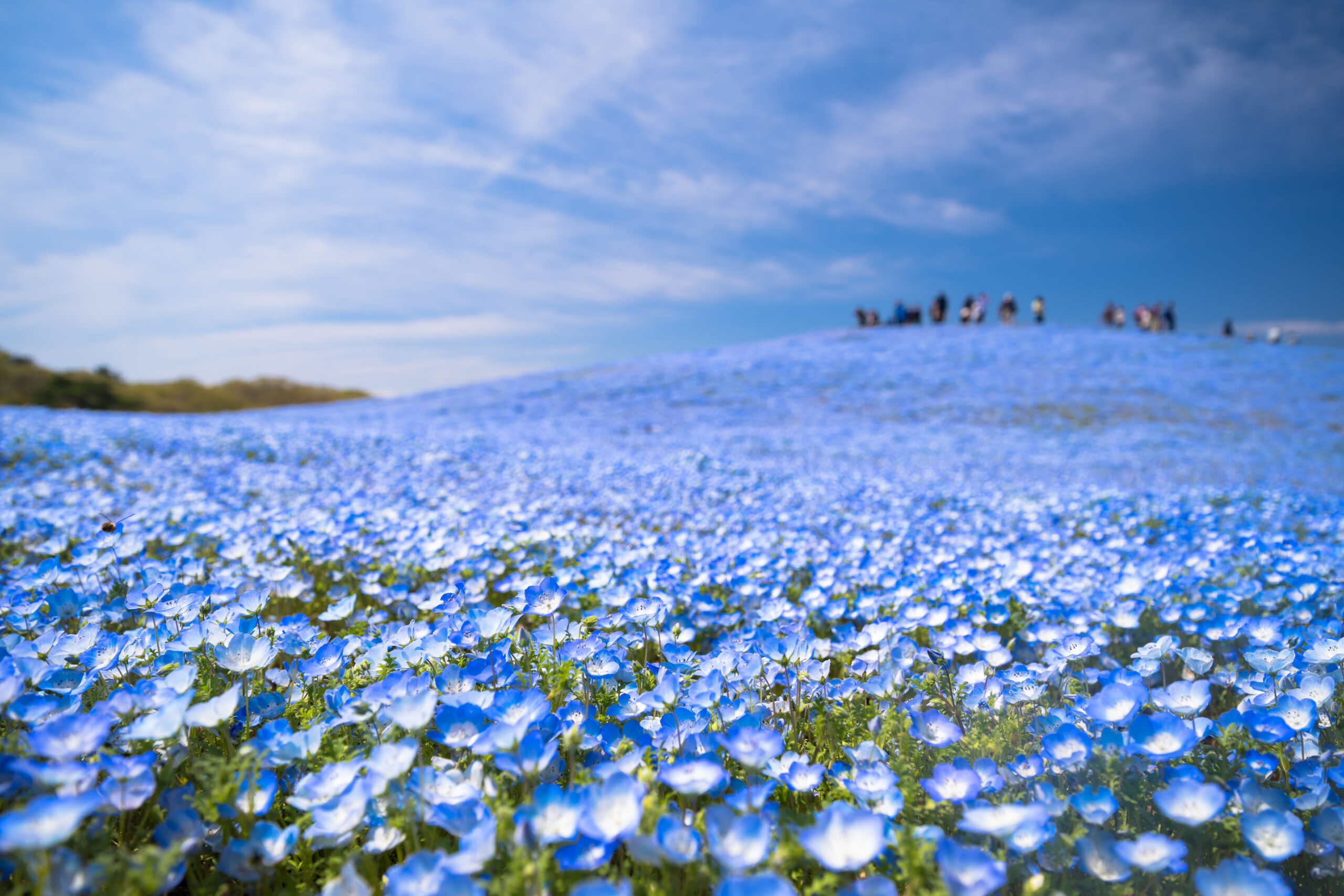 4月のイベント案内